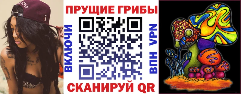 Галлюциногенные грибы MAGIC MUSHROOMS  Купить закладки  Малаховка 